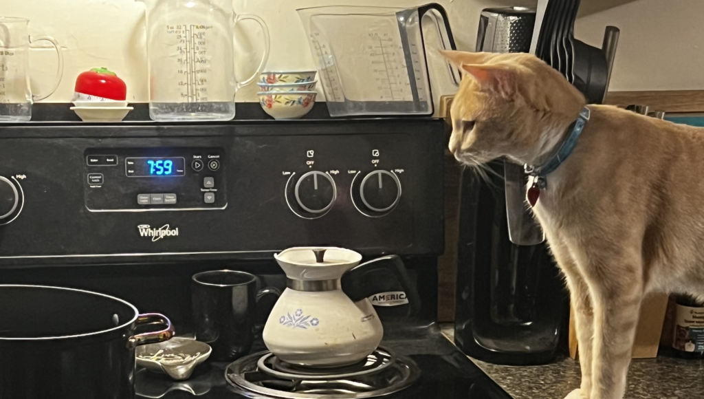 An orange cat looking into a pot on a stove