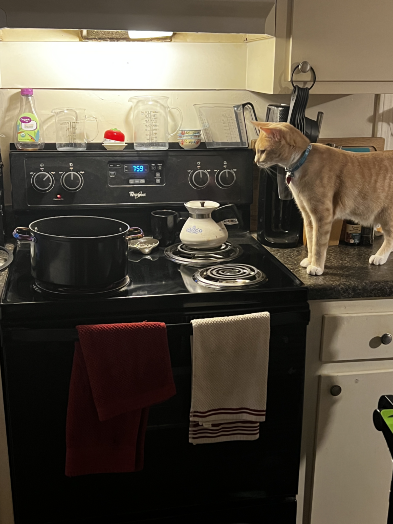 An orange cat looking into a pot on a stove